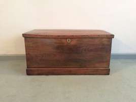 A Georgian elm trunk