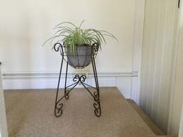 A wrought iron plant stand